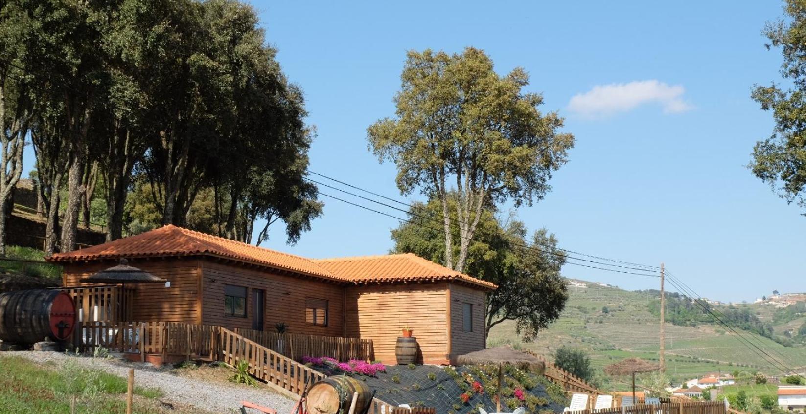 Quinta Da Bandeira - Casa De Ferias No Douro Villa Martir Dış mekan fotoğraf